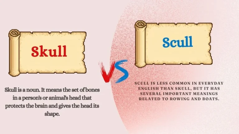 Skull or Scull