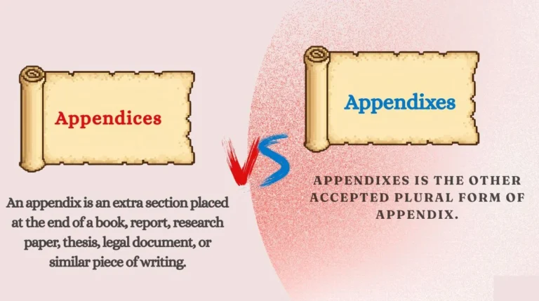 Appendices or Appendixes