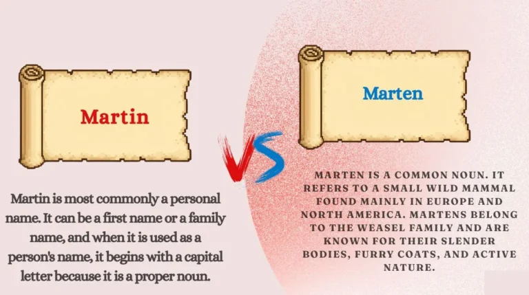Martin vs marten