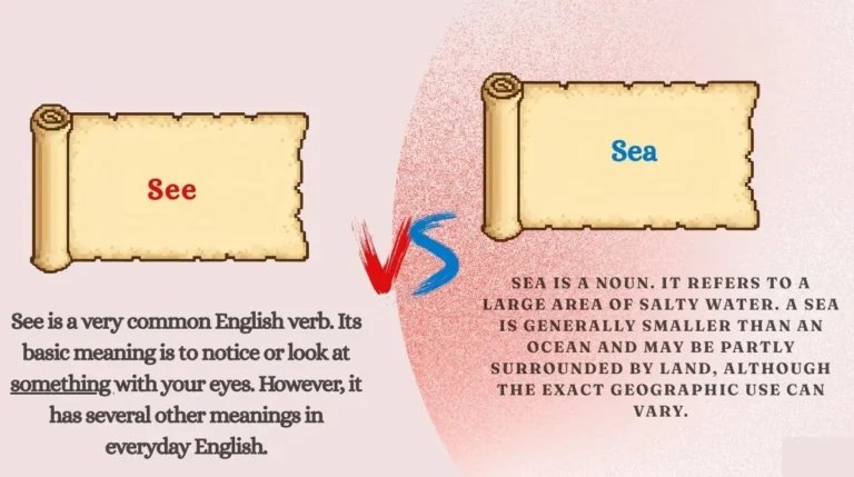 See vs Sea
