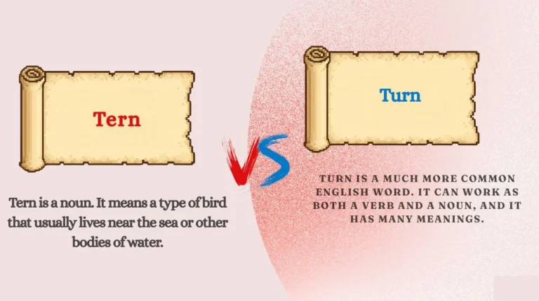 Tern vs Turn